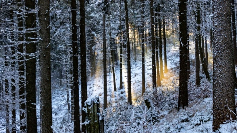 Народные приметы на 14 марта 2024 года — что нельзя делать