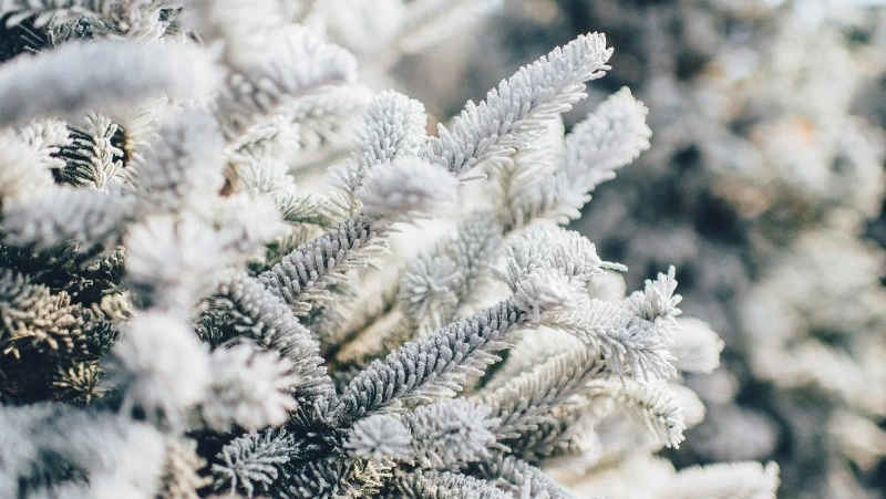 Церковный праздник 6 февраля 2024: что нельзя делать в этот день 