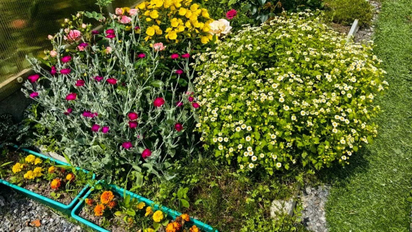 Как лунные циклы влияют на посадку растений: практическое руководство для садоводов