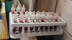 Анивские айболиты на страже противоэпизоотического благополучия