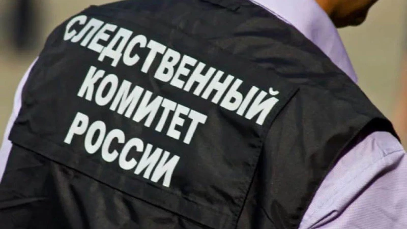 О расследовании случая избиения девочки в Аниве регулярно докладывают Бастрыкину