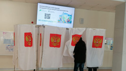 В островном регионе более 86% избирателей проголосовали за Владимира Путина