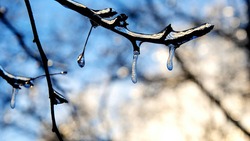 Без осадков и выше нуля: какая погода ожидается на Сахалине и Курилах 14 марта