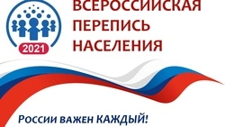 Сроки онлайн-переписи через Госуслуги продлены до 14 ноября