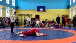 Открытый турнир по борьбе самбо, посвящённый Дню Победы