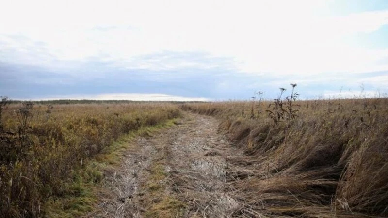 Пока не поздно остановиться и сохранить