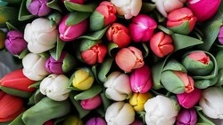 Что подарить на 8 марта: идеи, которые понравятся любой женщине           