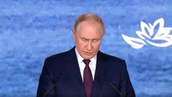 Президент Путин сообщил о планах развития инфраструктуры на Дальнем Востоке