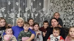 Всем так важна материнская любовь…