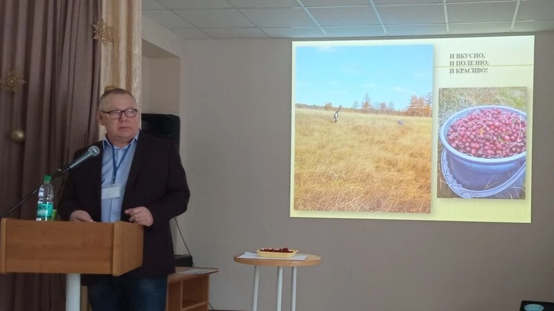 Успенское и его знаменитые клюквенники