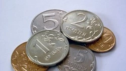 Освобождение от выплат и госпошлин: какие законы вступят в силу в январе