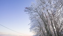 Циклон и сильные морозы ожидаются на Сахалине и Курилах на новогодних праздниках