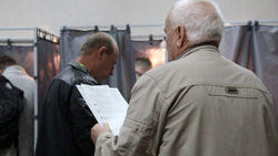 Представители партий оценили подготовку к выборам 10 сентября на Сахалине