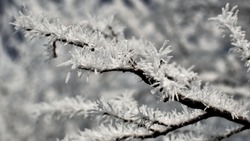 Какая погода ожидается на Сахалине и Курилах 17 января  