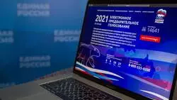 Единороссы подвели итоги праймериз
