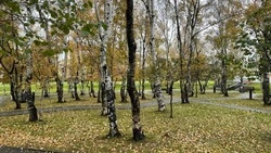 Погода в Сахалинской области 22 октября: слабый дождь и -3 градуса ночью 
