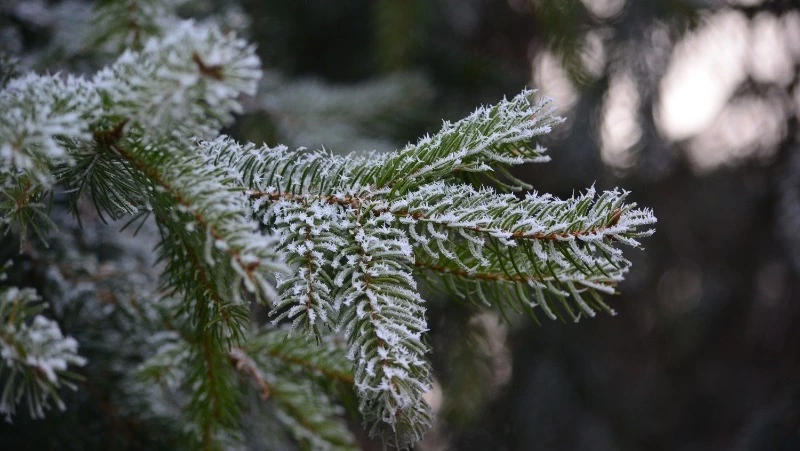 Церковный праздник 15 декабря 2023: что нельзя делать в этот день