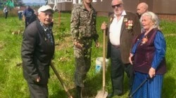 Анива присоединилась к всероссийской акции «Лес Победы»