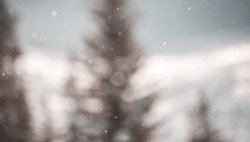 Снег и порывистый ветер ожидаются на Сахалине и Курилах 20 декабря     