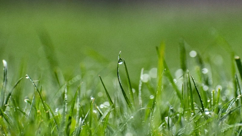 Народные приметы 19 мая 2024 года — что нельзя делать