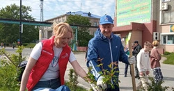 «Единая Россия» организовала посадку клёнов в сквере им. И.И. Закомолдина