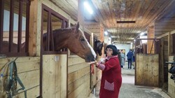 Доза лошадиного здоровья от КСК «Анива»