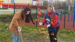 Акция «Классный лес» от «Единой России»