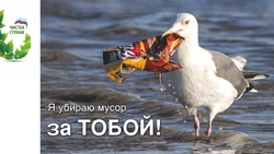 Уборку на взморье перенесли из-за плохого прогноза погоды