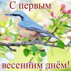 Открытки и картинки с первым днем весны 2024     