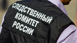 О расследовании случая избиения девочки в Аниве регулярно докладывают Бастрыкину