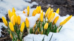 Майские праздники — 2025: сколько отдыхаем, можно ли в отпуск 