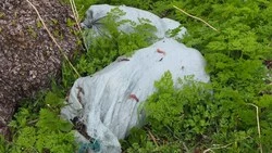 На месте ликивидированных свалок анивчане устанавливают плакаты