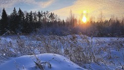 Колебания температуры и без осадков: погода в Сахалинской области 12 февраля