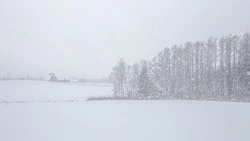 Снег и -25 градусов: прогноз погоды в Сахалинской области на 12 декабря