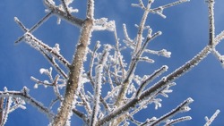 Морозы до -38 градусов накроют Сахалинскую область 10 января 