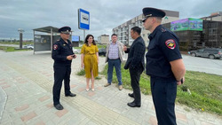 Светофор и неровности появятся на опасном переходе в Новотроицком 