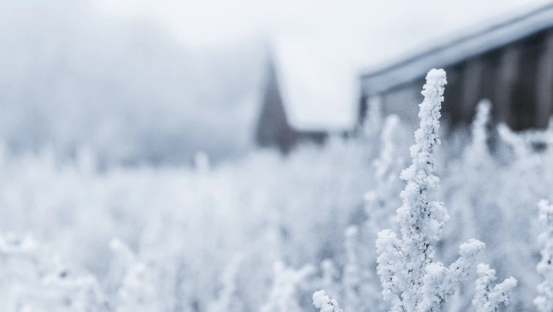 Церковный праздник 12 декабря 2023: что нельзя делать в этот день