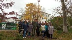 Возле центральной библиотеки посадили сакуру, черёмуху и ещё 40 деревьев