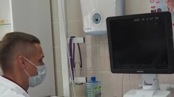 Ультразвук от носа до хвоста
