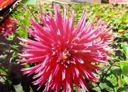 В нашем районе обновили памятник участнику Великой Отечественной войны