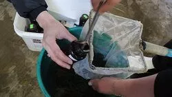 Обстановка на таранайском заводе благоприятная