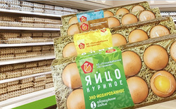 На Сахалине планируют увеличить производство яиц до 300 тысяч штук в день