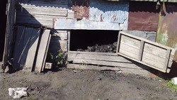 Анивские добровольцы помогли жительнице села Рыбацкое