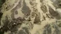 В сторону Новотроицкого текли навозные воды