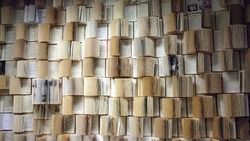 ТЕСТ по литературе: лишь 30% смогут ответить на 8 из 8 вопросов