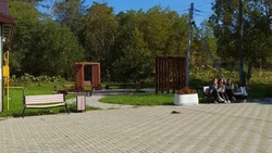 В Петропавловском «площадка для взрослых» стала популярной
