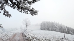 Снег и ветер с порывами до 30 м/с ожидаются на Сахалине и Курилах 16 января