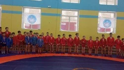 В Аниве соревновались самбисты южного Сахалина