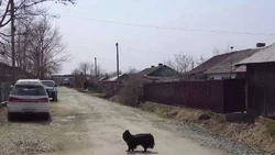 В праздничный день мэр оценивала масштабы дорожного ремонта в Троицком