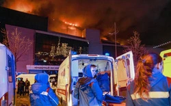 Мэр округа и председатель Собрания депутатов осудили кровавый теракт в ТЦ «Крокус-Сити»